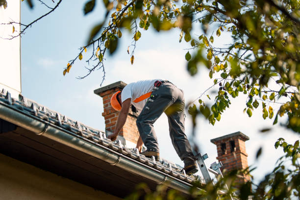 Best Slate Roofing Contractor  in Portland, MI