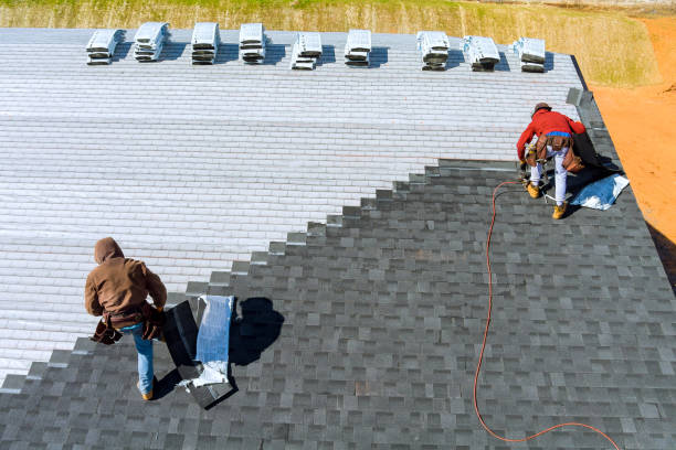 Best Roof Gutter Cleaning  in Portland, MI
