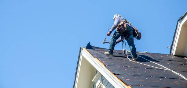 Best Roof Replacement Cost  in Portland, MI